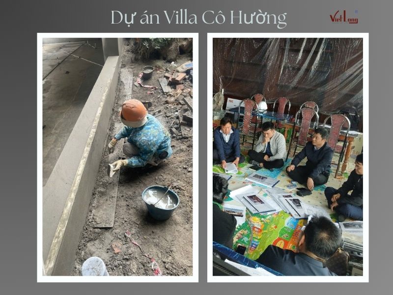 dự án cô Hường