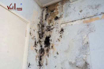 Các cách xử lý chống thấm cải tạo tường nhà cũ sau mùa mưa 16 Thiet ke chua co ten 1