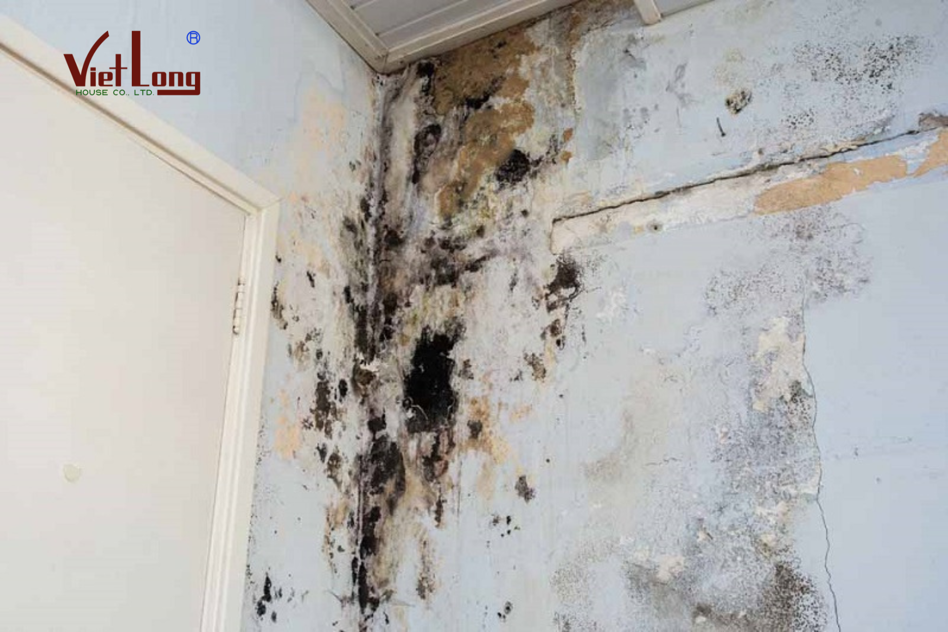 Các cách xử lý chống thấm cải tạo tường nhà cũ sau mùa mưa 2 Thiet ke chua co ten 1