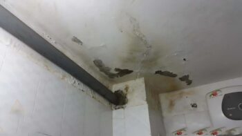 Chống thấm tường nhà khi xây dựng: Những điều bạn không nên bỏ lỡ khi đến mùa mưa bão 24 taoanhdep net anh 58956