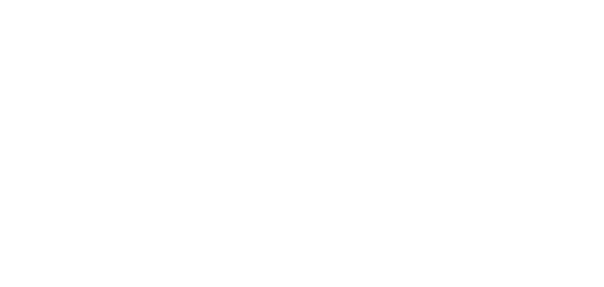 VietLong House