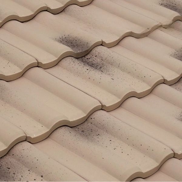 NGÓI SÓNG PROUD BB40 EISHIRO NHẬT BẢN - Ảnh 4