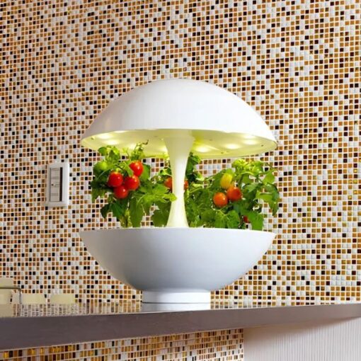 ĐÈN TRỒNG CÂY CAO CẤP NHẬT BẢN MOTOM