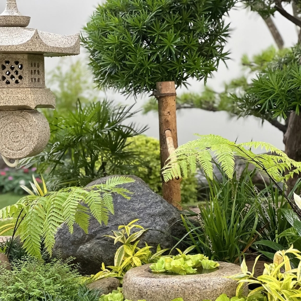 SÂN VƯỜN NHẬT BẢN ZOUEN
