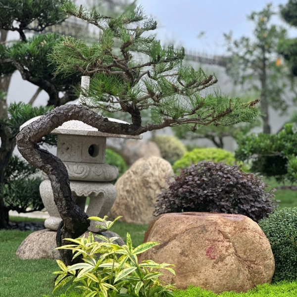 SÂN VƯỜN NHẬT BẢN ZOUEN - Ảnh 3